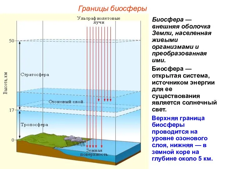 Границы биосферы Биосфера — внешняя оболочка Земли, населенная живыми организмами