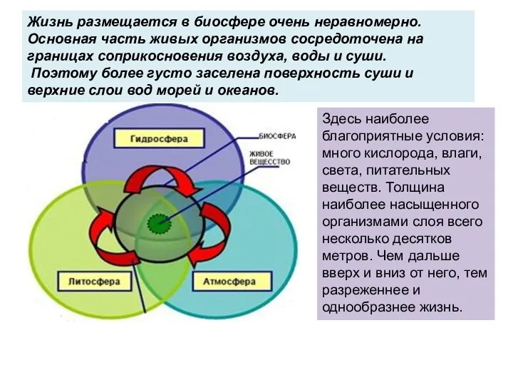 Жизнь размещается в биосфере очень неравномерно. Основная часть живых организмов