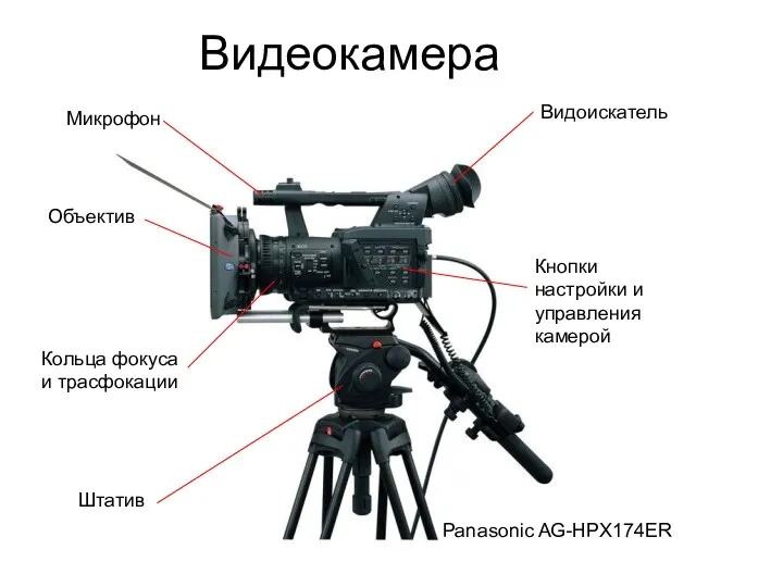 Видеокамера Объектив Микрофон Видоискатель Кольца фокуса и трасфокации Штатив Кнопки настройки и управления камерой Panasonic AG-HPX174ER