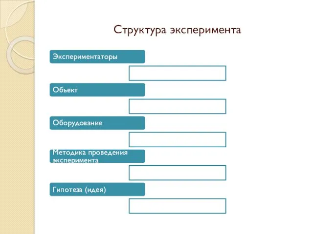 Структура эксперимента Экспериментаторы Объект Оборудование Методика проведения эксперимента Гипотеза (идея)