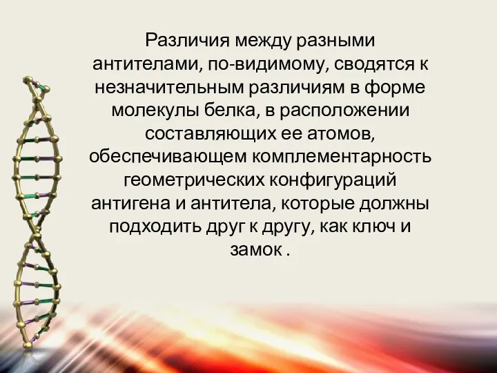 Различия между разными антителами, по-видимому, сводятся к незначительным различиям в