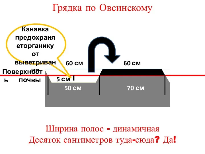 Поверхность почвы Грядка по Овсинскому 50 см 70 см Канавка