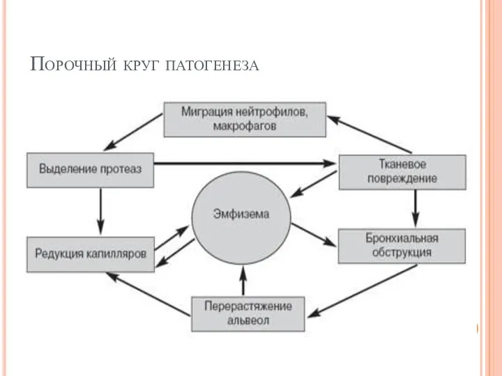 Порочный круг патогенеза