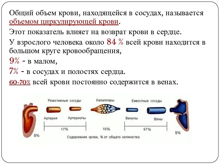 Общий объем крови, находящейся в сосудах, называется объемом циркулирующей крови.