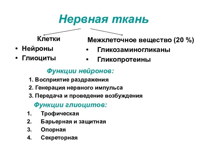 Нервная ткань Клетки Нейроны Глиоциты Функции нейронов: 1. Восприятие раздражения