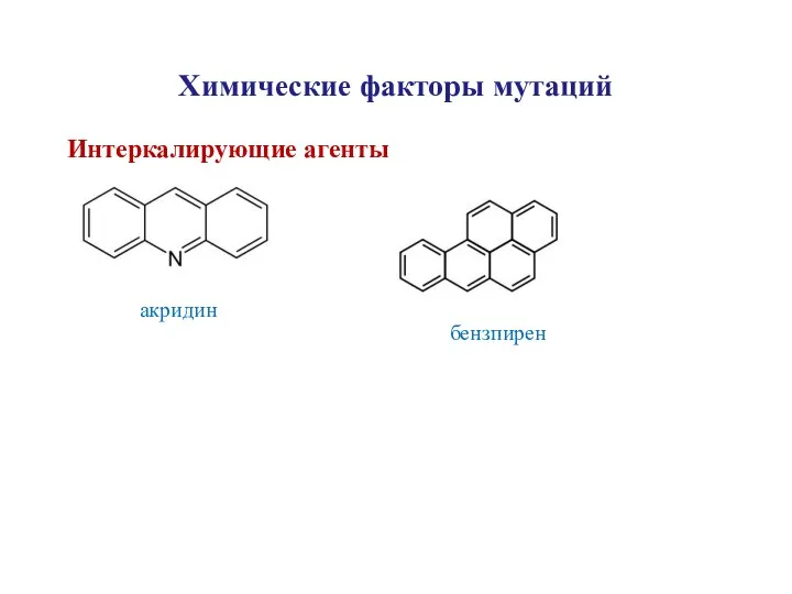Химические факторы мутаций Интеркалирующие агенты акридин бензпирен