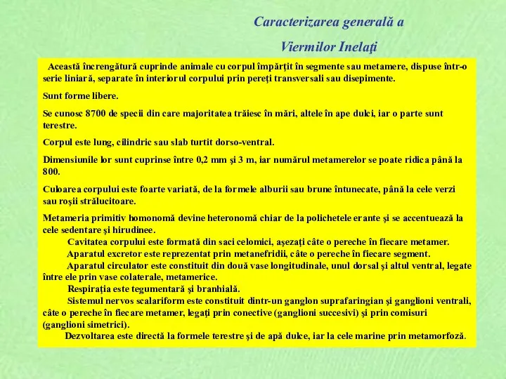 Caracterizarea generală a Viermilor Inelaţi Această încrengătură cuprinde animale cu corpul împărţit în