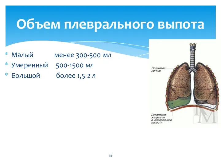 Малый менее 300-500 мл Умеренный 500-1500 мл Большой более 1,5-2 л Объем плеврального выпота