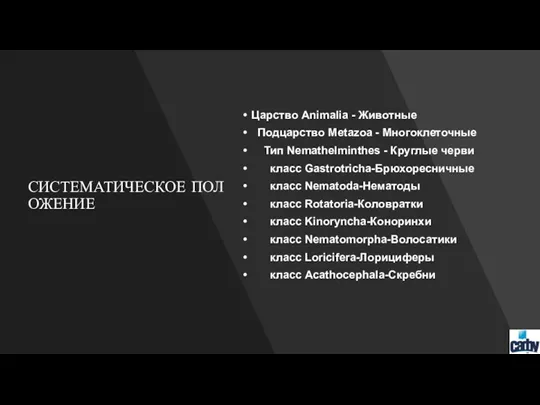 СИСТЕМАТИЧЕСКОЕ ПОЛОЖЕНИЕ Царство Animalia - Животные Подцарство Metazoa - Многоклеточные Тип Nemathelminthes -