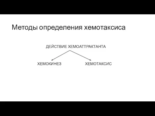 Методы определения хемотаксиса ДЕЙСТВИЕ ХЕМОАТТРАКТАНТА ХЕМОКИНЕЗ ХЕМОТАКСИС