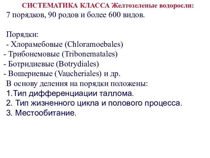 СИСТЕМАТИКА КЛАССА Желтозеленые водоросли: 7 порядков, 90 родов и более