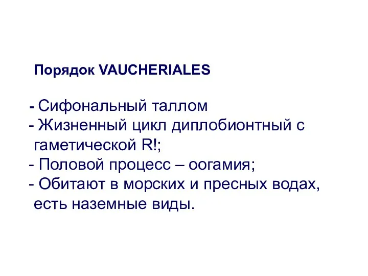 Порядок VAUCHERIALES Сифональный таллом Жизненный цикл диплобионтный с гаметической R!;