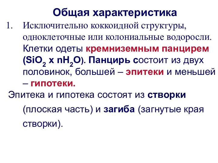 Исключительно коккоидной структуры, одноклеточные или колониальные водоросли. Клетки одеты кремниземным