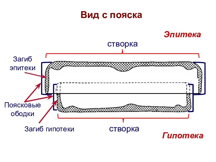 Вид с пояска