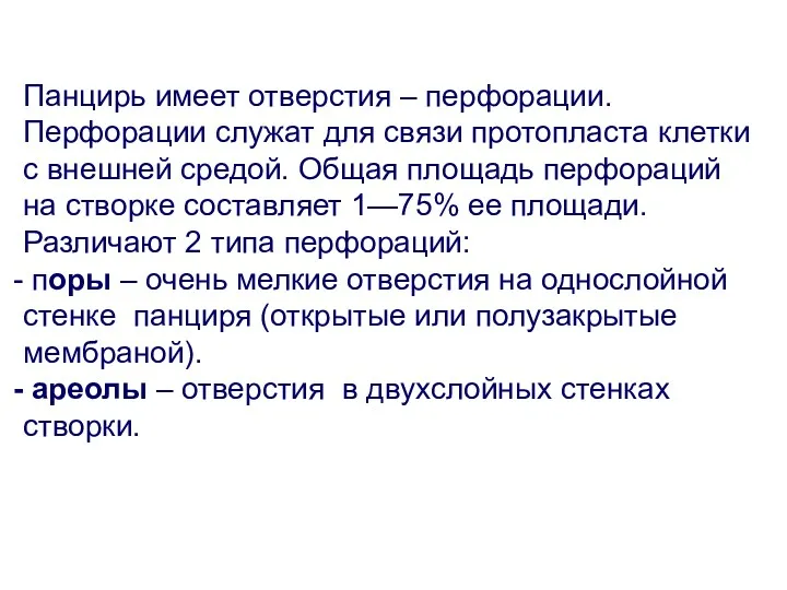 Панцирь имеет отверстия – перфорации. Перфорации служат для связи протопласта