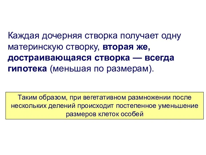 Каждая дочерняя створка получает одну материнскую створку, вторая же, достраивающаяся