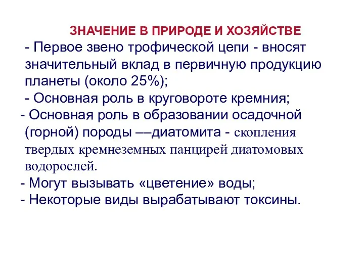 ЗНАЧЕНИЕ В ПРИРОДЕ И ХОЗЯЙСТВЕ - Первое звено трофической цепи