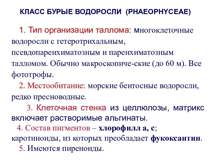 1. Тип организации таллома: многоклеточные водоросли с гетеротрихальным, псевдопаренхиматозным и