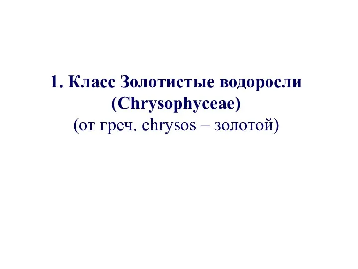 1. Класс Золотистые водоросли (Chrysophyceae) (от греч. chrysos – золотой)