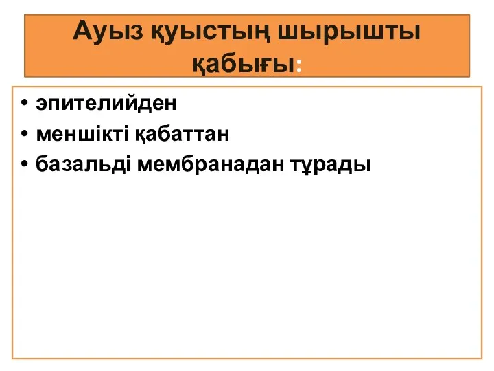 Ауыз қуыстың шырышты қабығы: эпителийден меншікті қабаттан базальді мембранадан тұрады