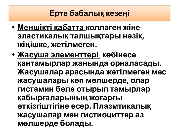 Ерте бабалық кезеңі Меншікті қабатта коллаген жіне эластикалық талшықтары нәзік,