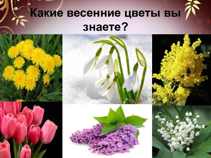 Какие весенние цветы вы знаете?