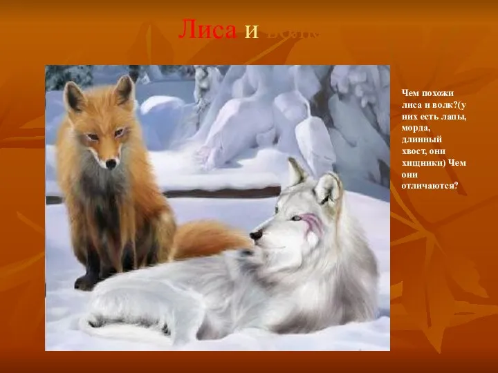 Лиса и волк Чем похожи лиса и волк?(у них есть