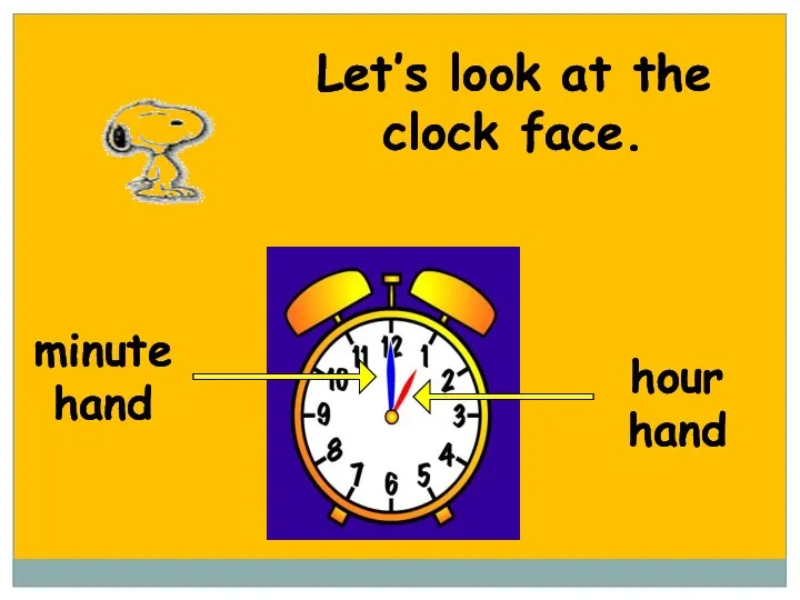 hour hand minute hand Let’s look at the clock face.