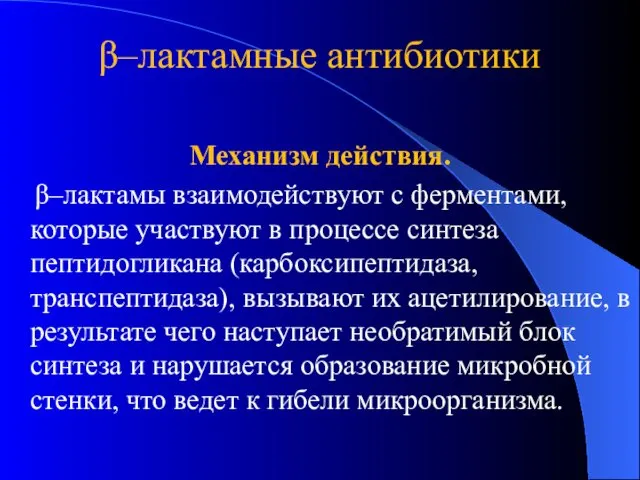 β–лактамные антибиотики Механизм действия. β–лактамы взаимодействуют с ферментами, которые участвуют