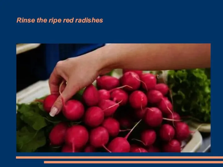 Rinse the ripe red radishes