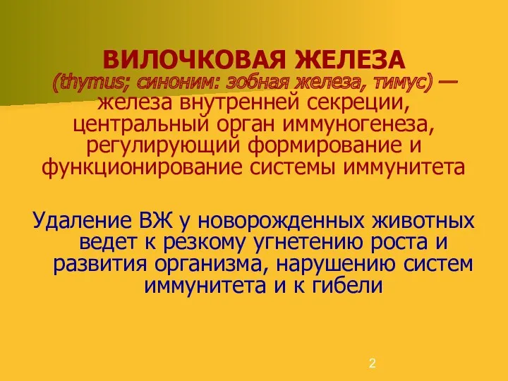 ВИЛОЧКОВАЯ ЖЕЛЕЗА (thymus; синоним: зобная железа, тимус) — железа внутренней