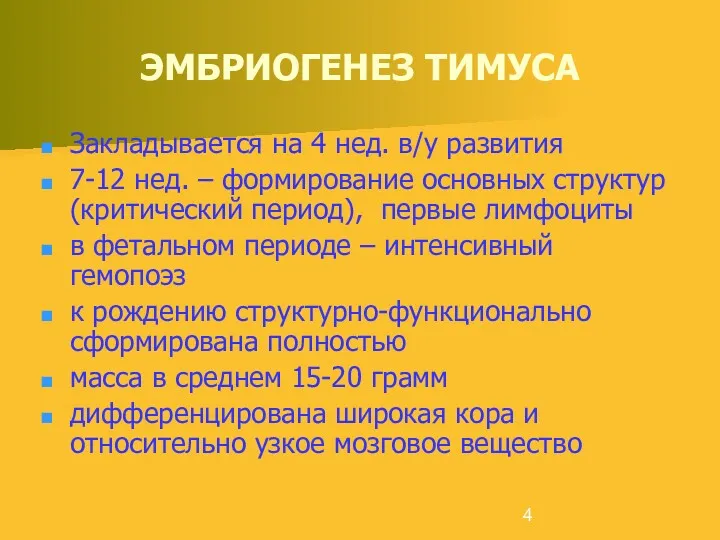 ЭМБРИОГЕНЕЗ ТИМУСА Закладывается на 4 нед. в/у развития 7-12 нед.