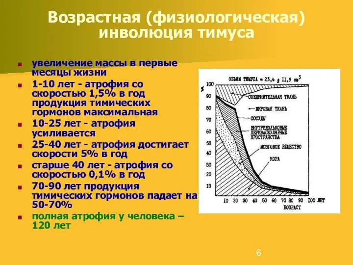 Возрастная (физиологическая) инволюция тимуса увеличение массы в первые месяцы жизни