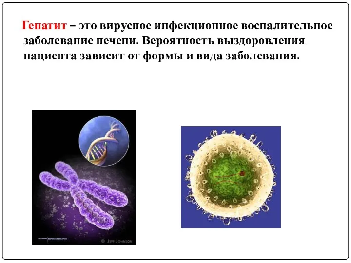 Гепатит – это вирусное инфекционное воспалительное заболевание печени. Вероятность выздоровления