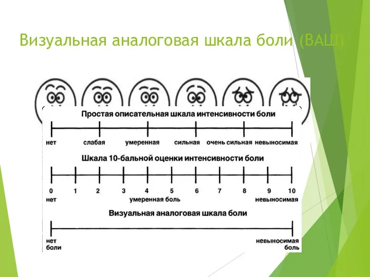 Визуальная аналоговая шкала боли (ВАШ)