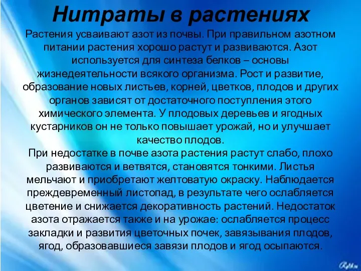 Нитраты в растениях Растения усваивают азот из почвы. При правильном