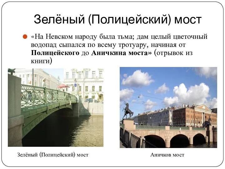 Зелёный (Полицейский) мост «На Невском народу была тьма; дам целый цветочный водопад сыпался