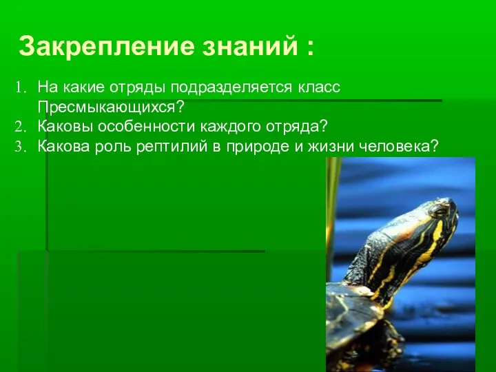 Закрепление знаний : На какие отряды подразделяется класс Пресмыкающихся? Каковы