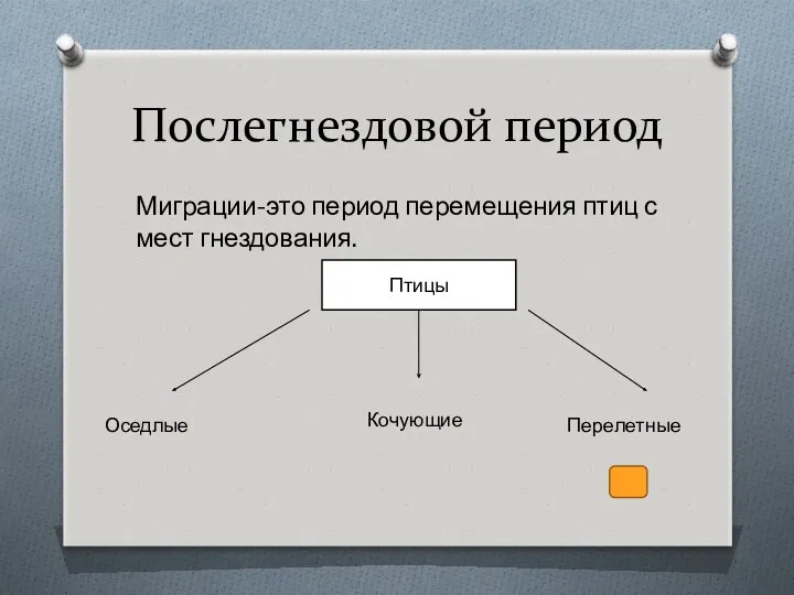 Послегнездовой период Миграции-это период перемещения птиц с мест гнездования. Птицы Оседлые Кочующие Перелетные