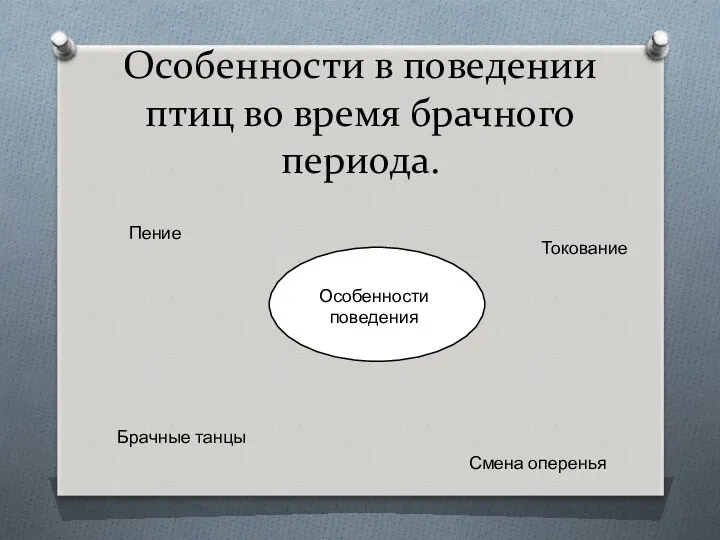 Особенности в поведении птиц во время брачного периода. Особенности поведения Пение Токование Брачные танцы Смена оперенья