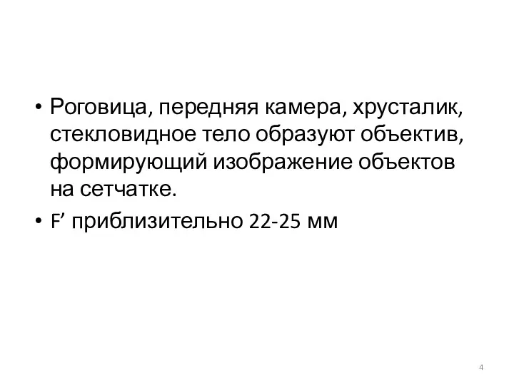 Роговица, передняя камера, хрусталик, стекловидное тело образуют объектив, формирующий изображение