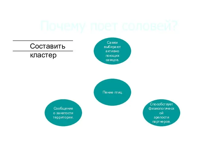 Почему поет соловей? Составить кластер