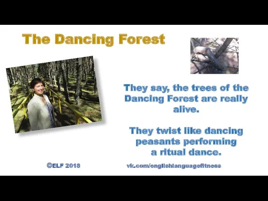 ©ELF 2018 vk.com/englishlanguagefitness The Dancing Forest They say, the trees