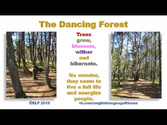 ©ELF 2018 vk.com/englishlanguagefitness The Dancing Forest Trees grow, blossom, wither