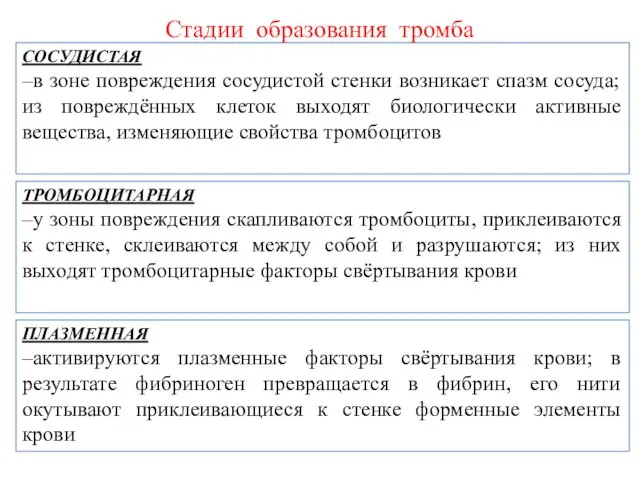 СОСУДИСТАЯ –в зоне повреждения сосудистой стенки возникает спазм сосуда; из