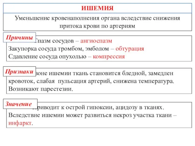 П В зоне ишемии ткань становится бледной, замедлен кровоток, слабая