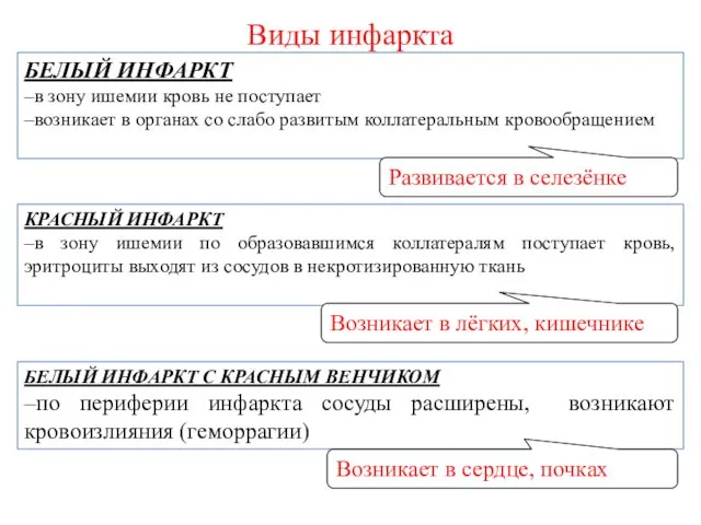 БЕЛЫЙ ИНФАРКТ –в зону ишемии кровь не поступает –возникает в