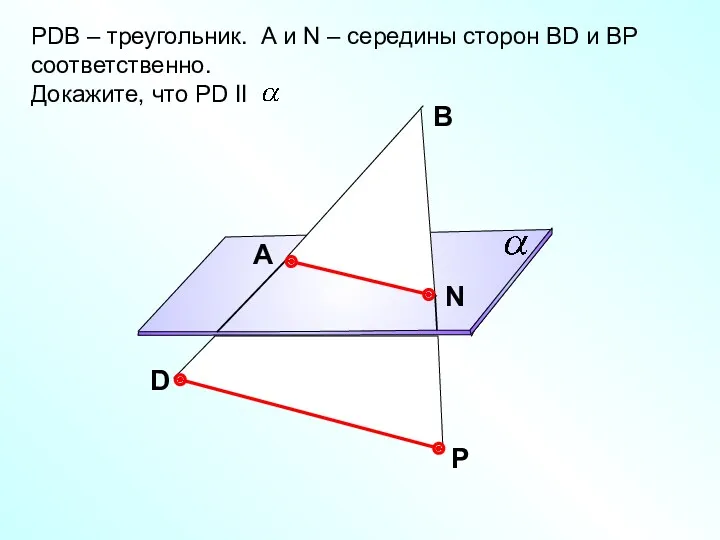 РDB – треугольник. А и N – середины сторон ВD