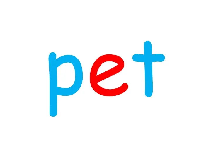 pet