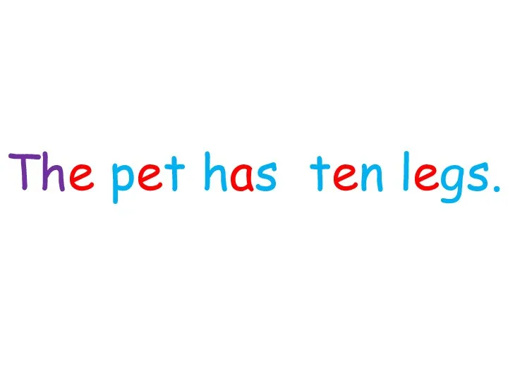 The pet has ten legs.